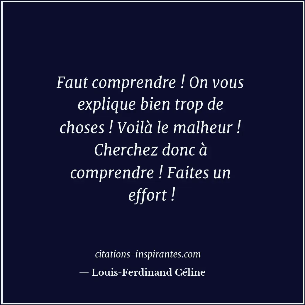 Faut comprendre ! On vous explique bien trop de choses ! Voilà le malheur ! Cher... Citation de Louis-Ferdinand Céline