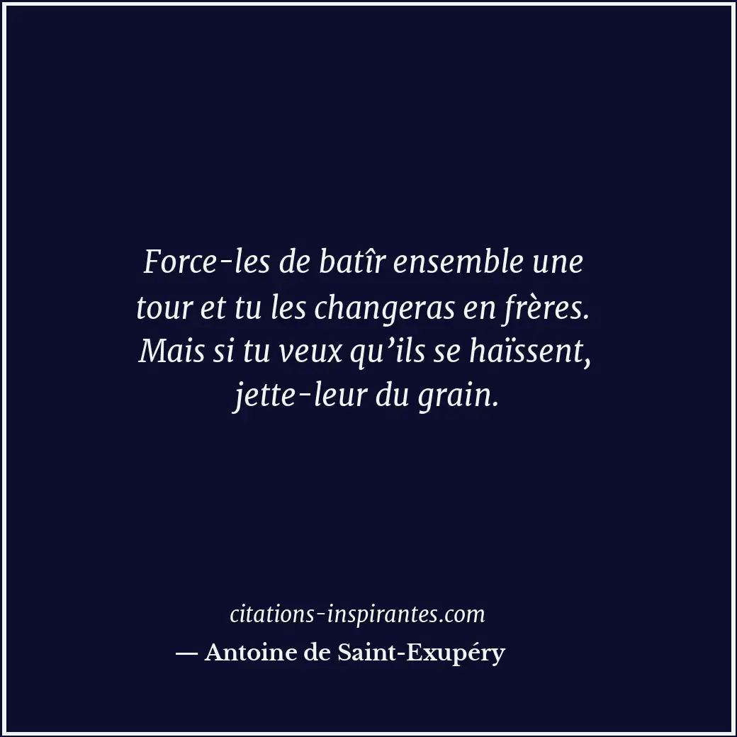 Force-les de batîr ensemble une tour et tu les changeras en frères. Mais si tu v... Citation de Antoine de Saint-Exupéry
