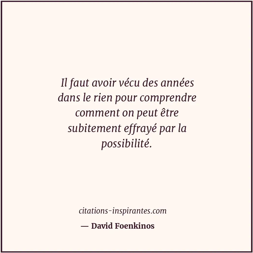 Citation de David Foenkinos