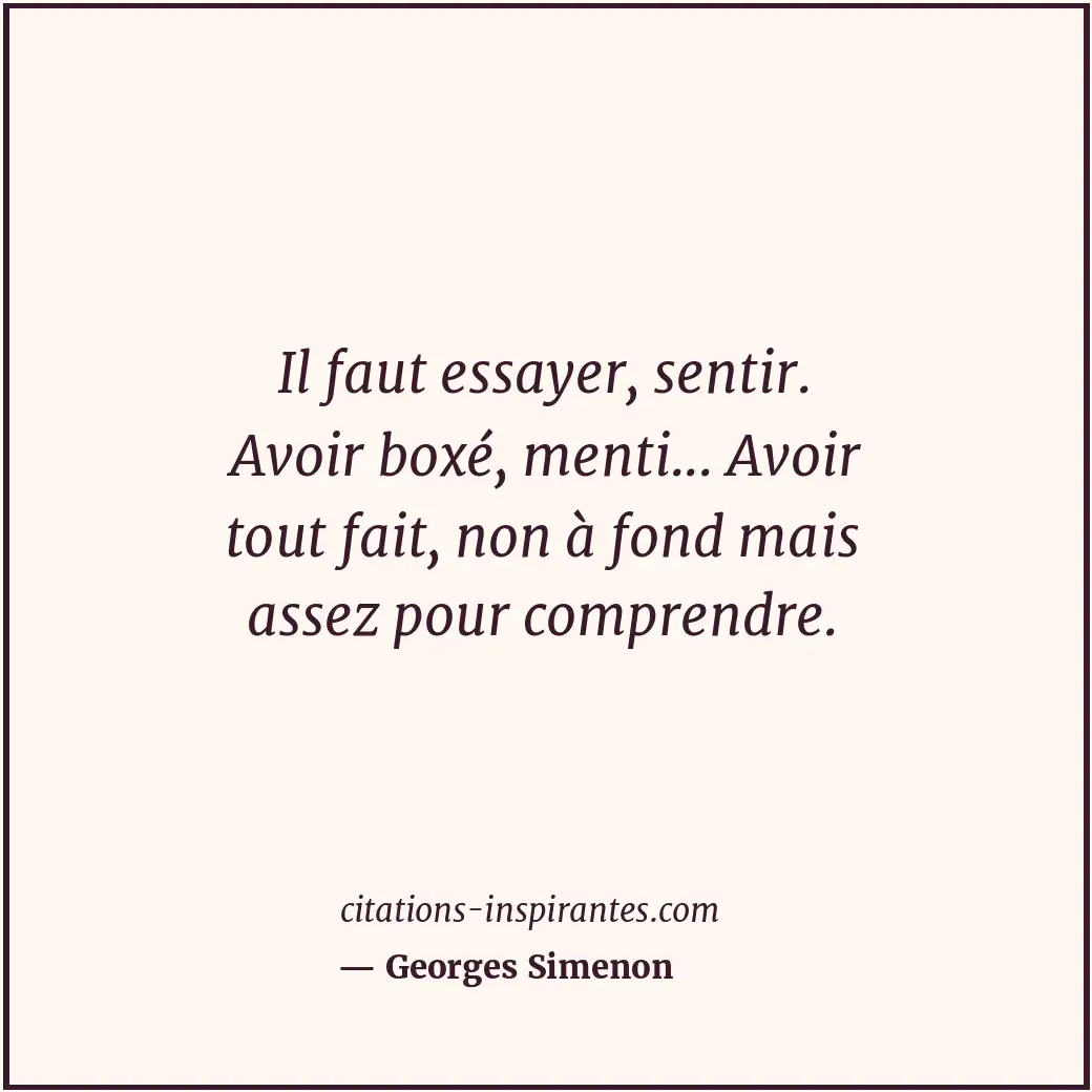 Citation de Georges Simenon