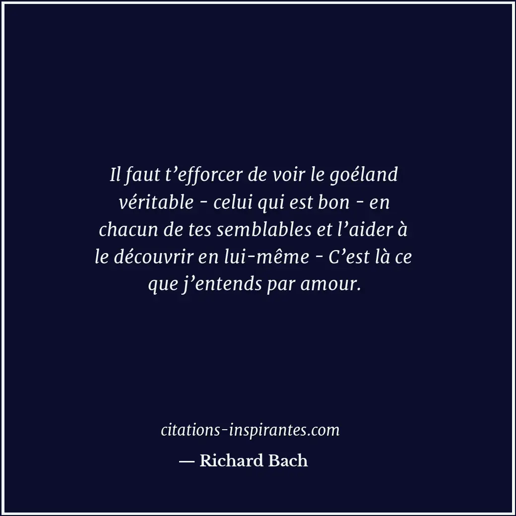 Il faut t’efforcer de voir le goéland véritable - celui qui est bon - en chacun... Citation de Richard Bach