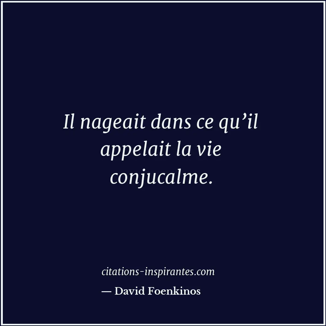 Citation de David Foenkinos