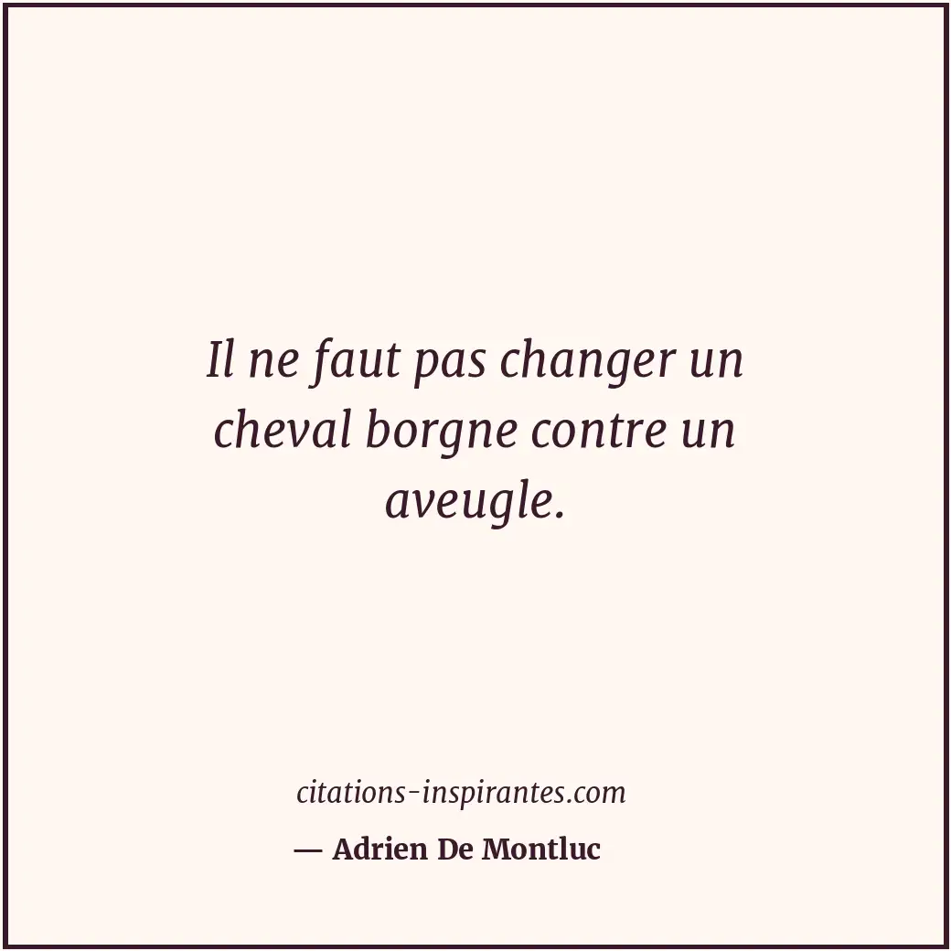 Citation de Adrien De Montluc