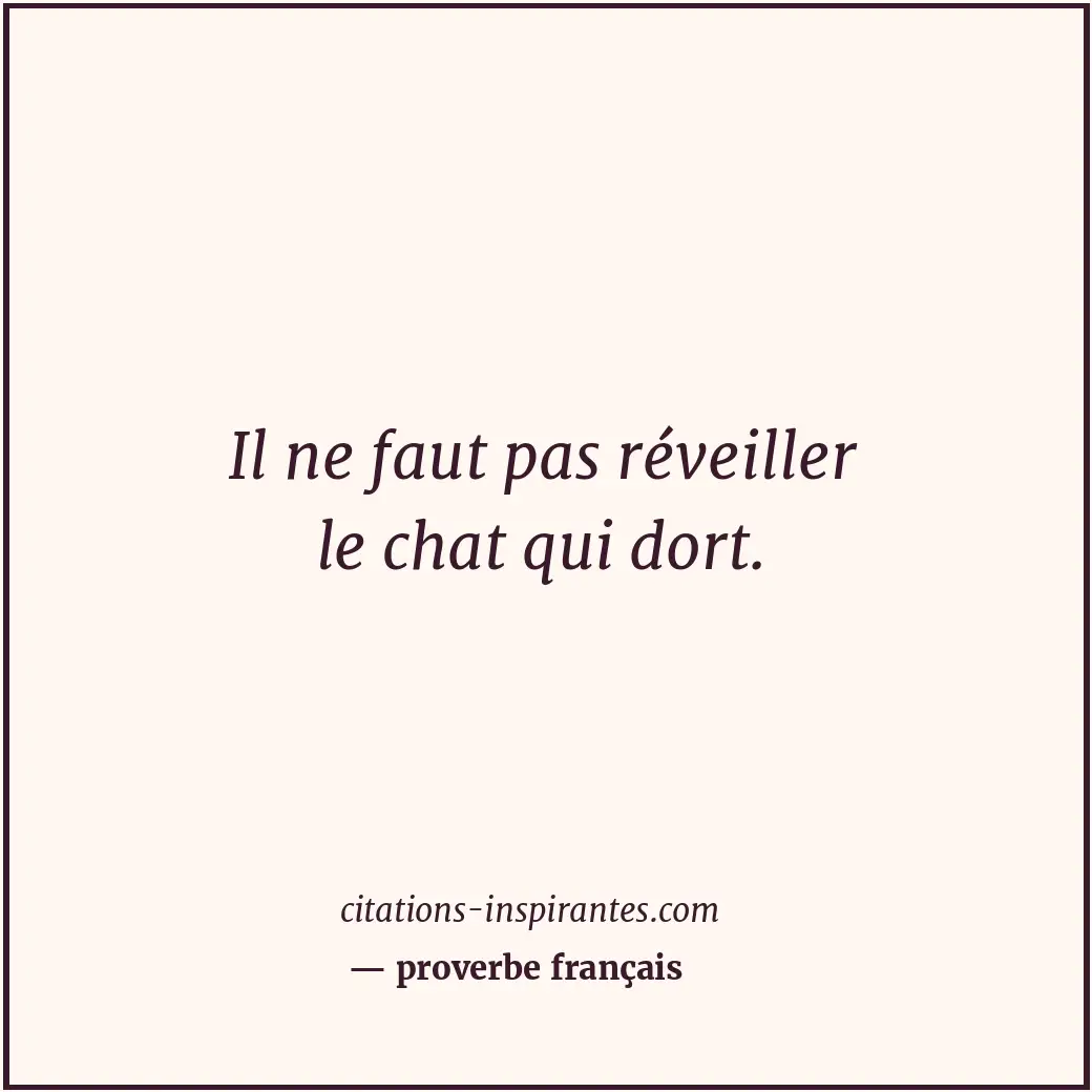 Il ne faut pas réveiller le chat qui dort. Citation de proverbe français