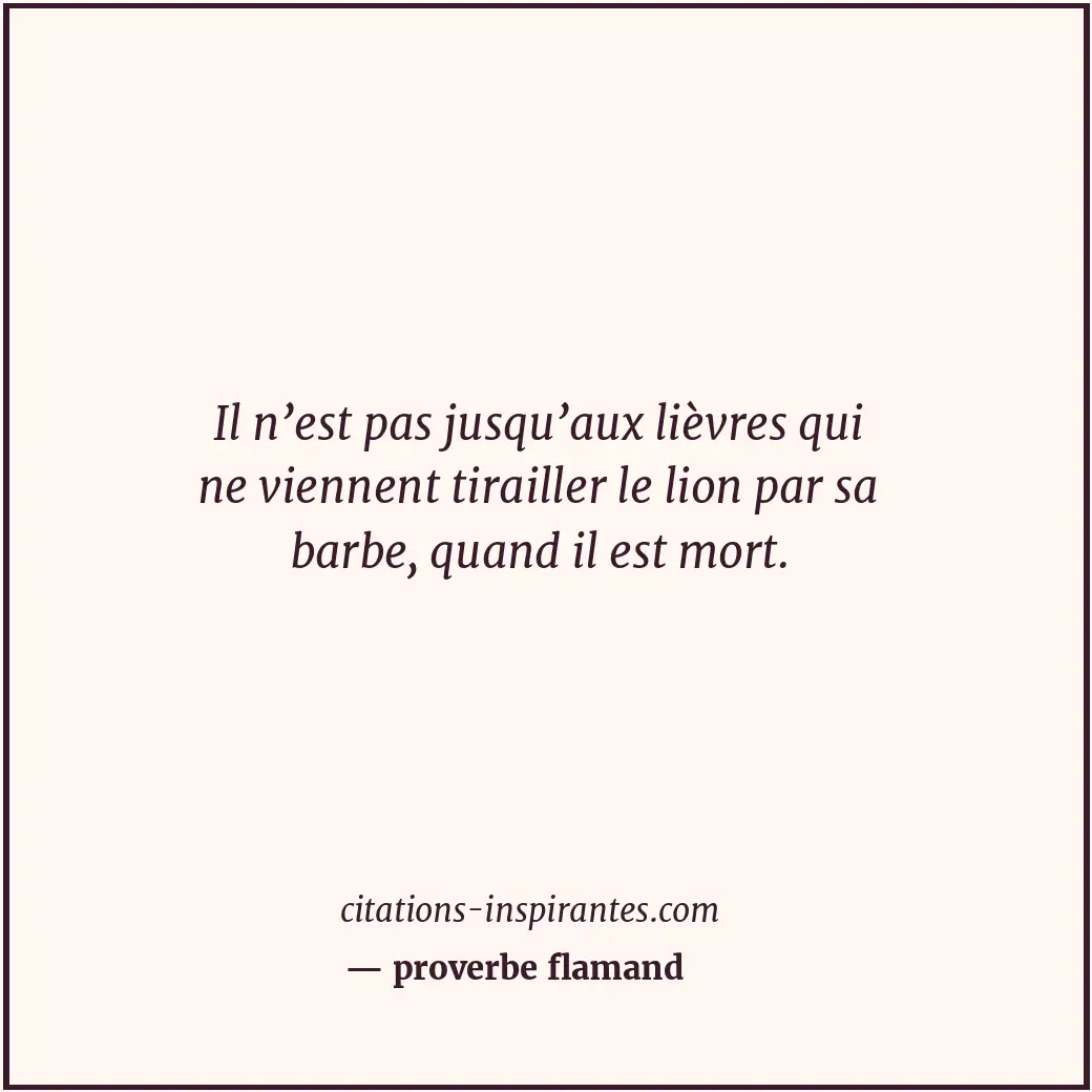 Citation de proverbe flamand