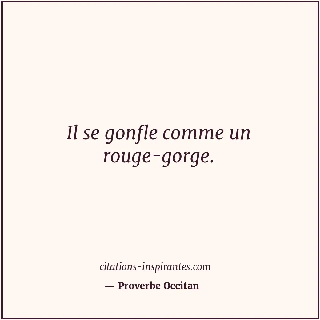 Il se gonfle comme un rouge-gorge. Citation de Proverbe Occitan