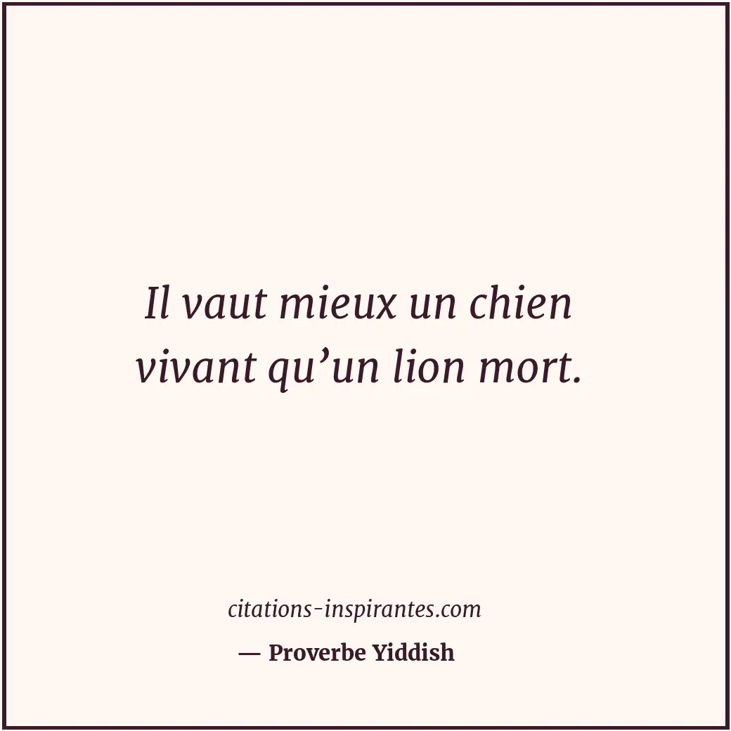 Il vaut mieux un chien vivant qu’un lion mort. Citation de Proverbe Yiddish