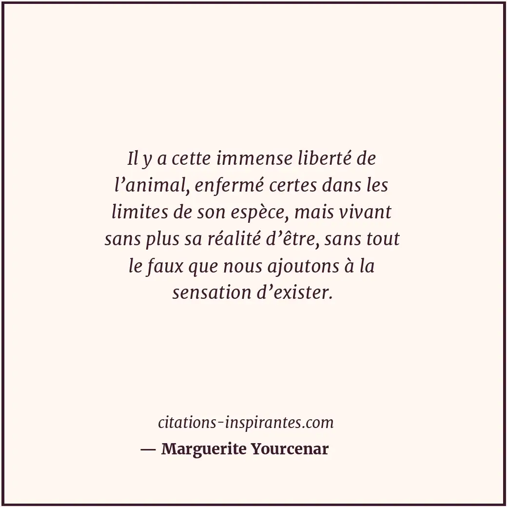 Il y a cette immense liberté de l’animal, enfermé certes dans les limites de son... Citation de Marguerite Yourcenar