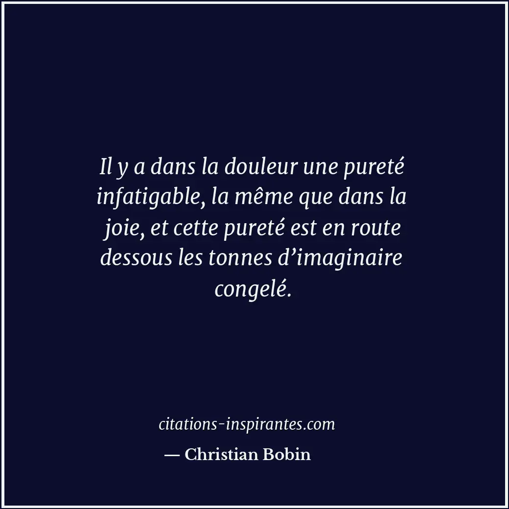 Il y a dans la douleur une pureté infatigable, la même que dans la joie, et cett... Citation de Christian Bobin
