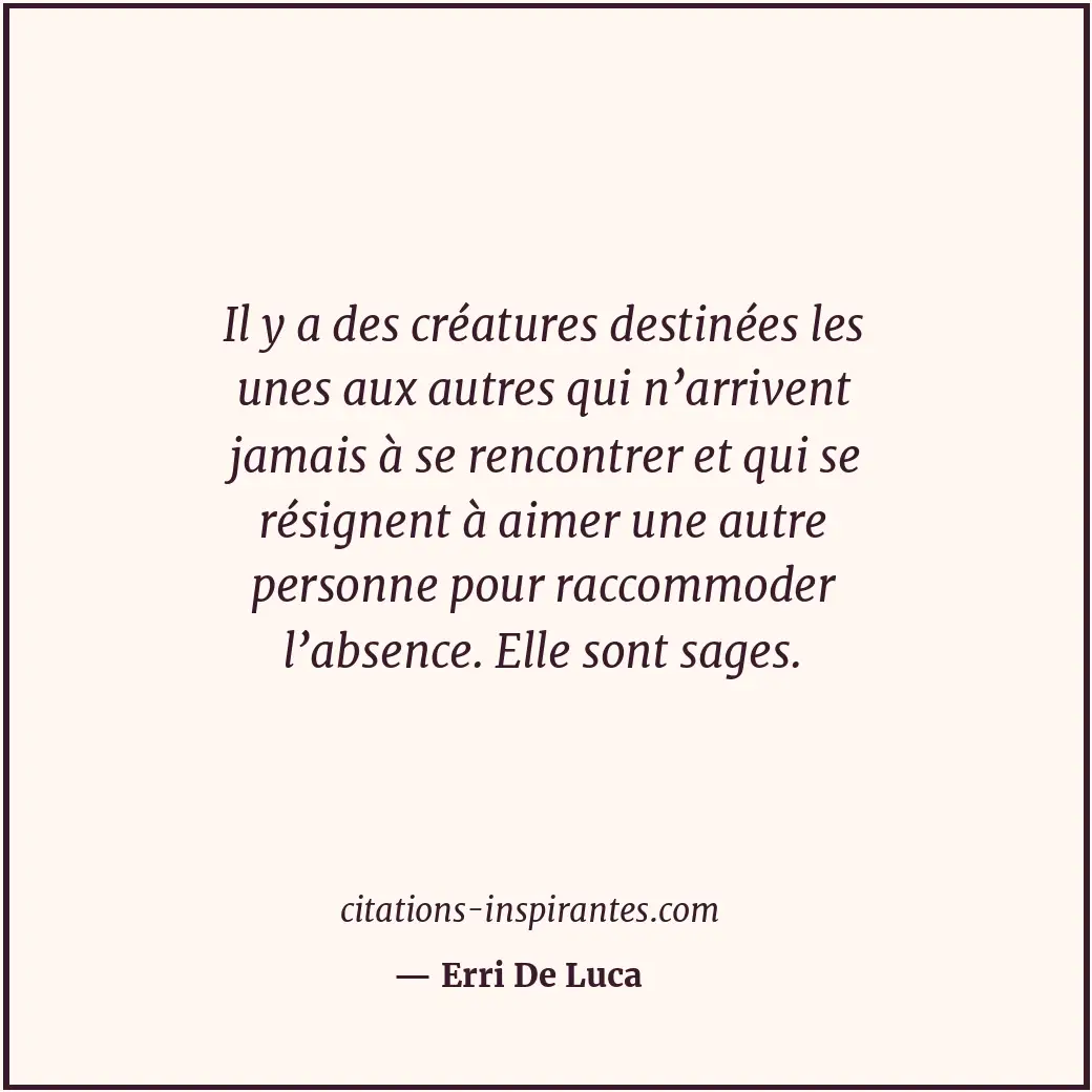 Citation de Erri De Luca