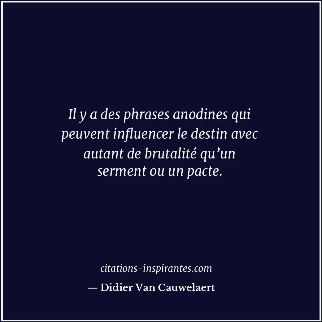 Il y a des phrases anodines qui peuvent influencer le destin avec autant de brut... Citation de Didier Van Cauwelaert