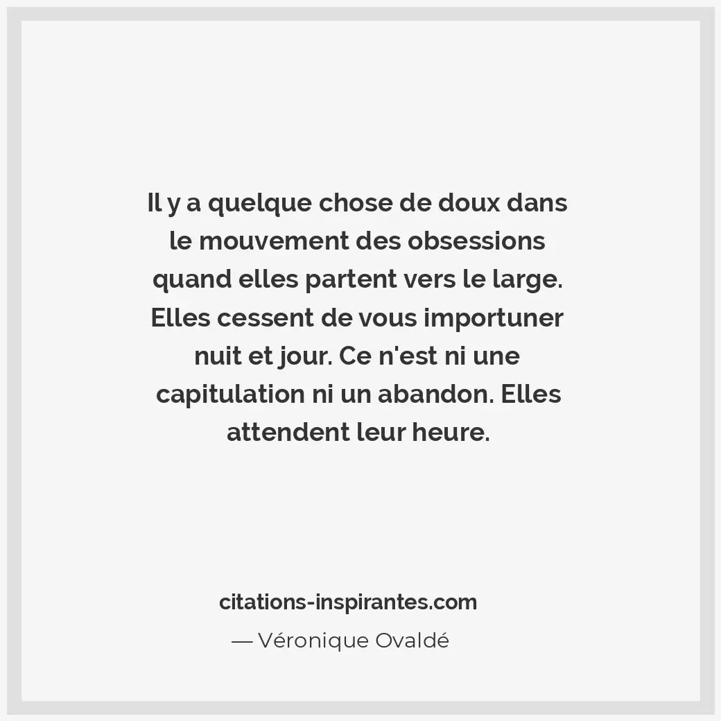 Il y a quelque chose de doux dans le mouvement des obsessions quand elles parten... Citation de Véronique Ovaldé