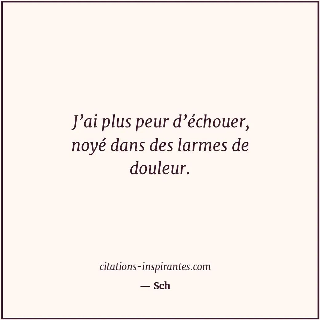 Citation de Sch