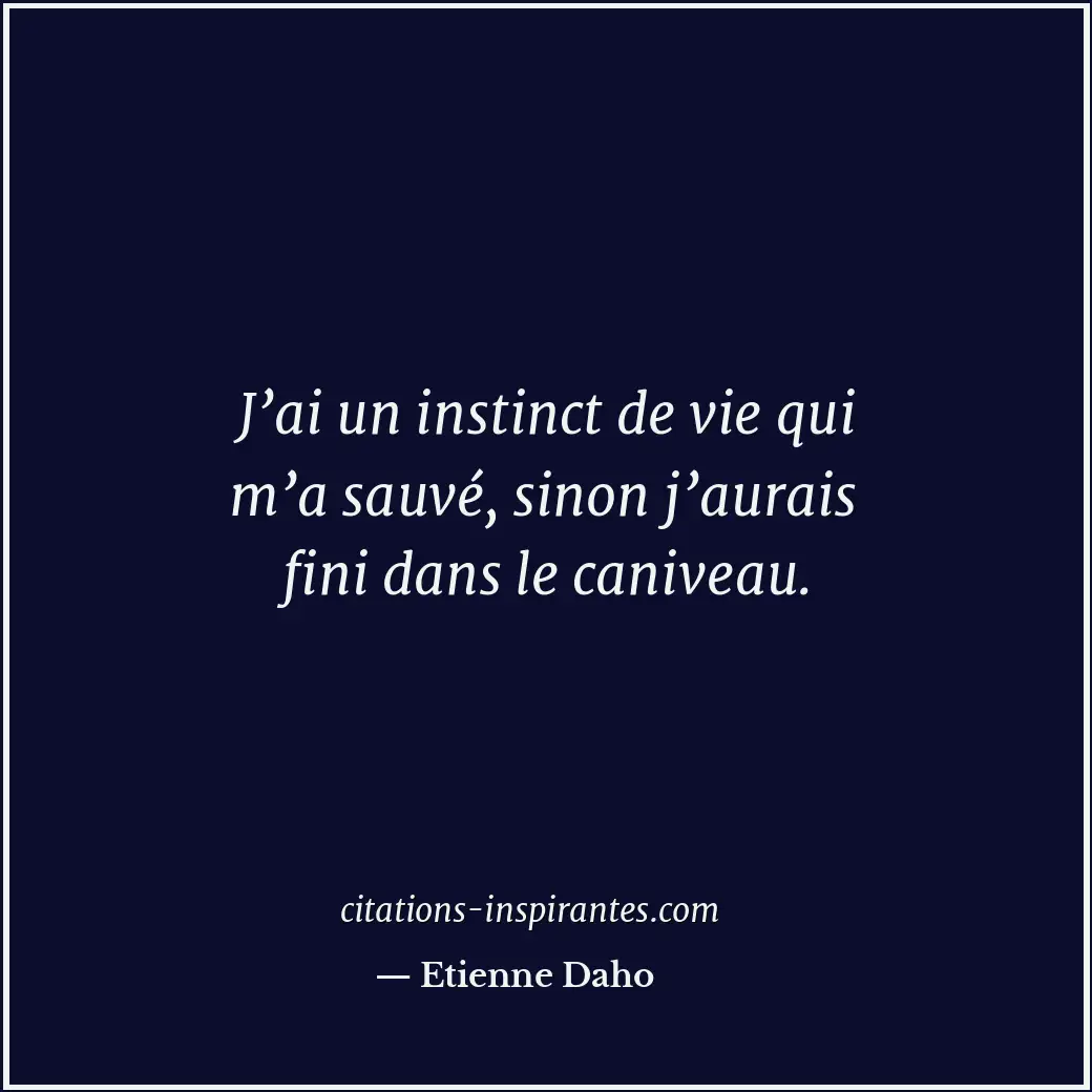 J’ai un instinct de vie qui m’a sauvé, sinon j’aurais fini dans le caniveau. Citation de Etienne Daho