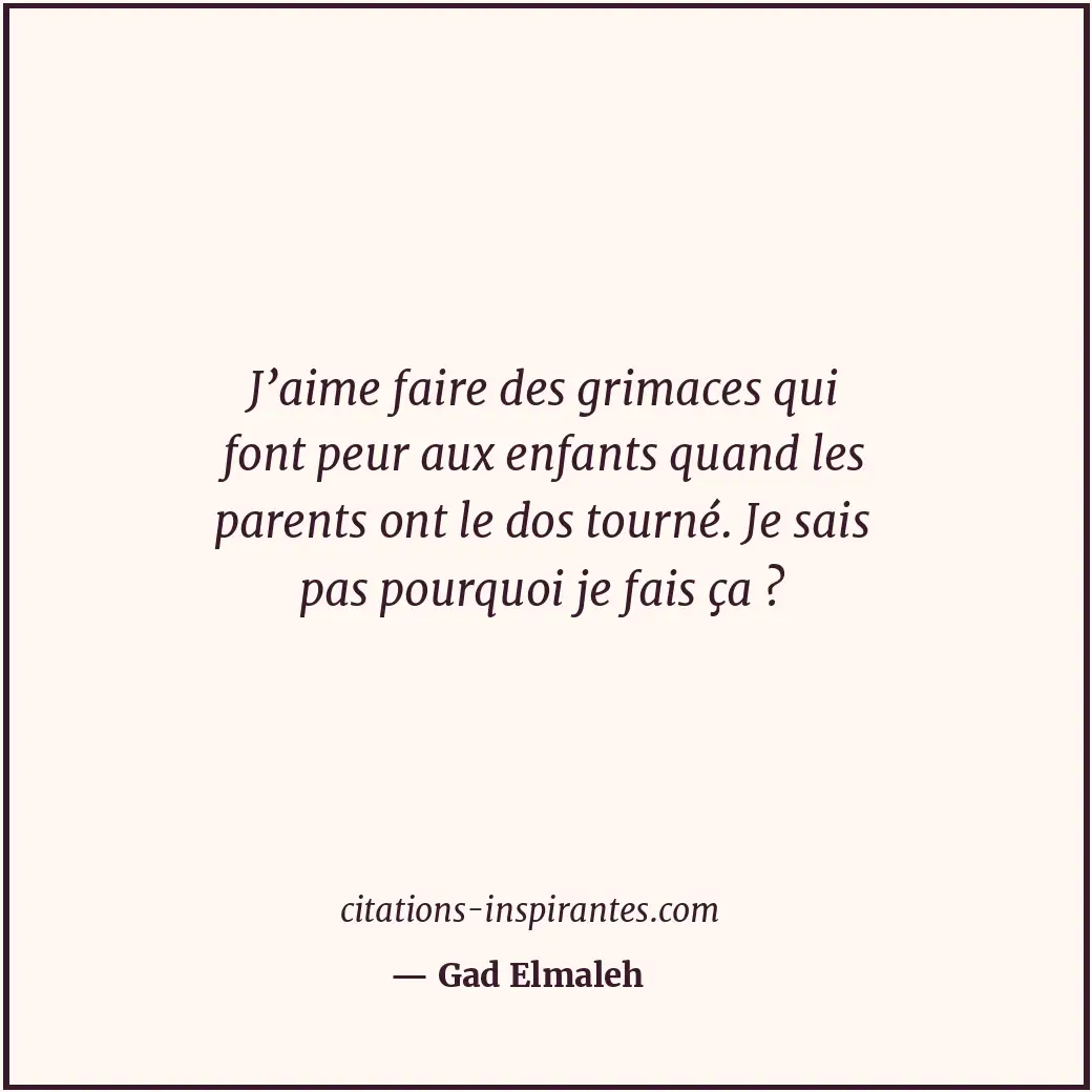 Citation de Gad Elmaleh