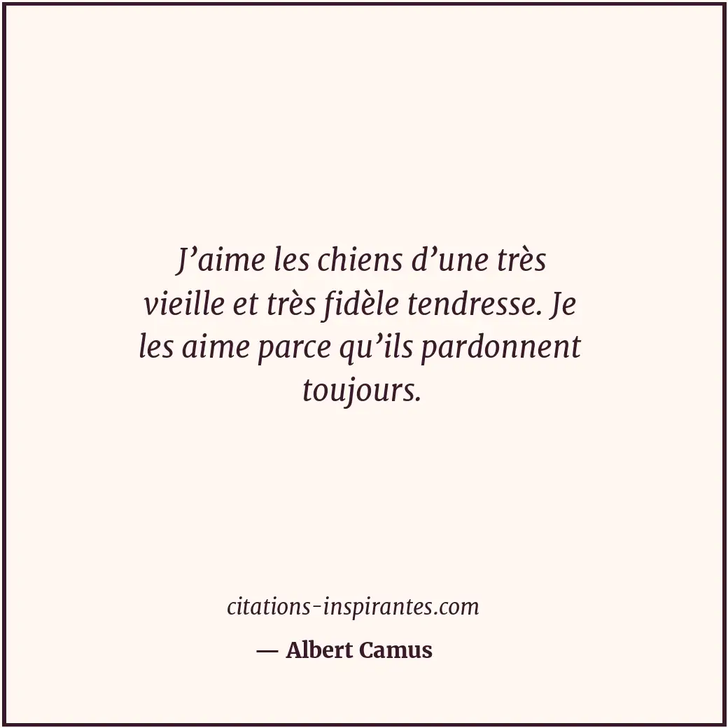 J’aime les chiens d’une très vieille et très fidèle tendresse. Je les aime parce... Citation de Albert Camus