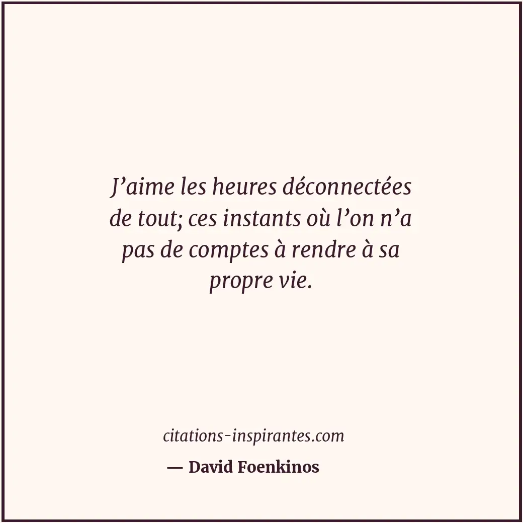 J’aime les heures déconnectées de tout; ces instants où l’on n’a pas de comptes... Citation de David Foenkinos