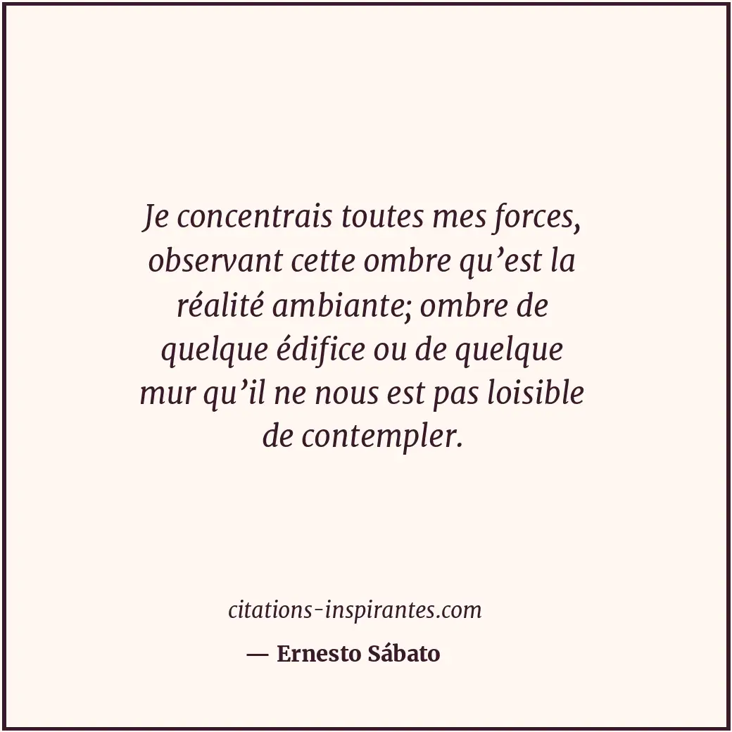 Je concentrais toutes mes forces, observant cette ombre qu’est la réalité ambian... Citation de Ernesto Sábato