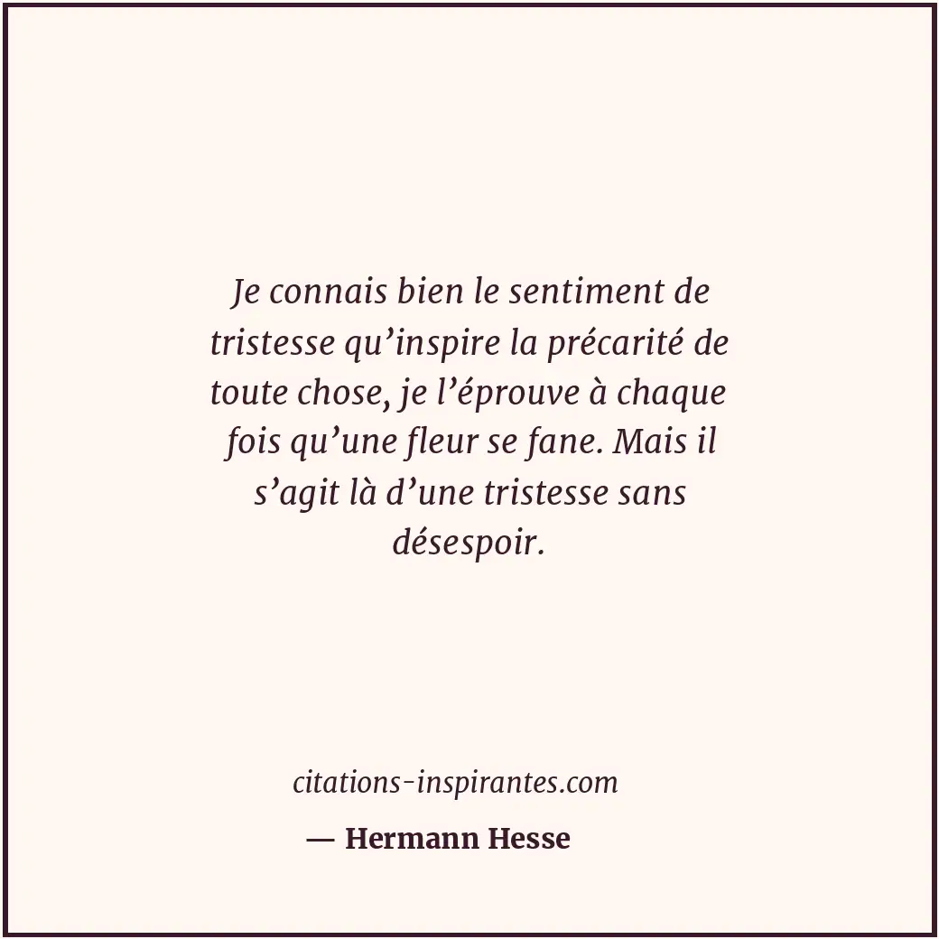 Citation de Hermann Hesse