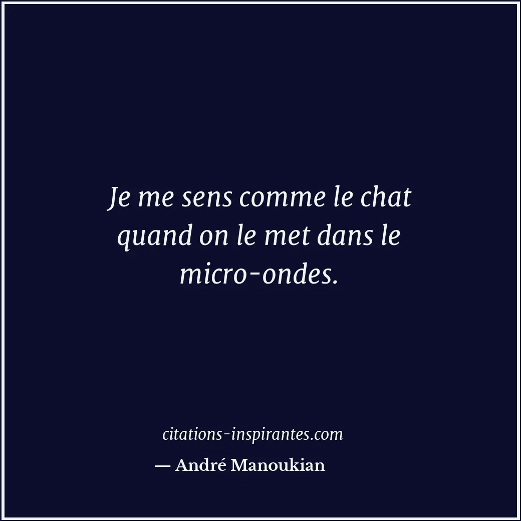 Je me sens comme le chat quand on le met dans le micro-ondes. Citation de André Manoukian