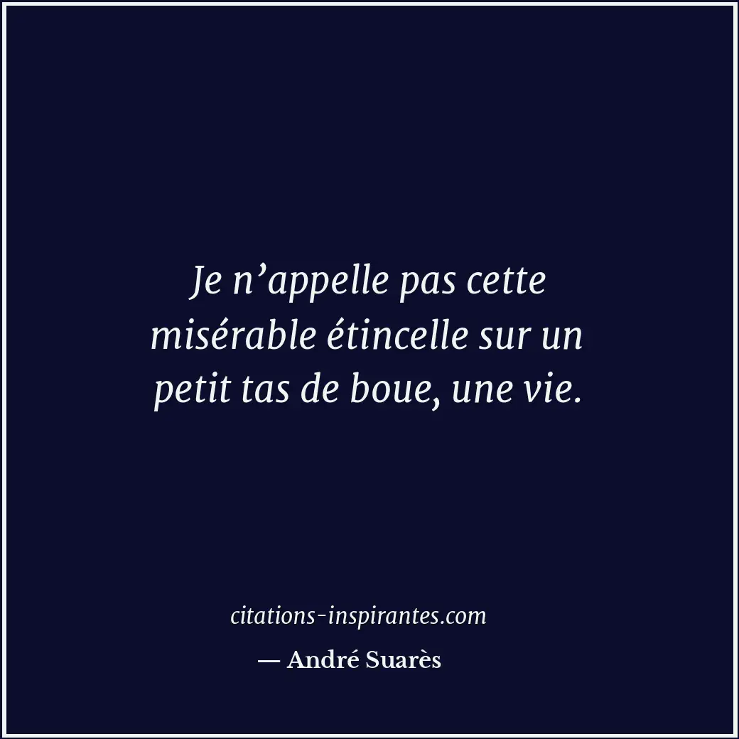 Je n’appelle pas cette misérable étincelle sur un petit tas de boue, une vie. Citation de André Suarès