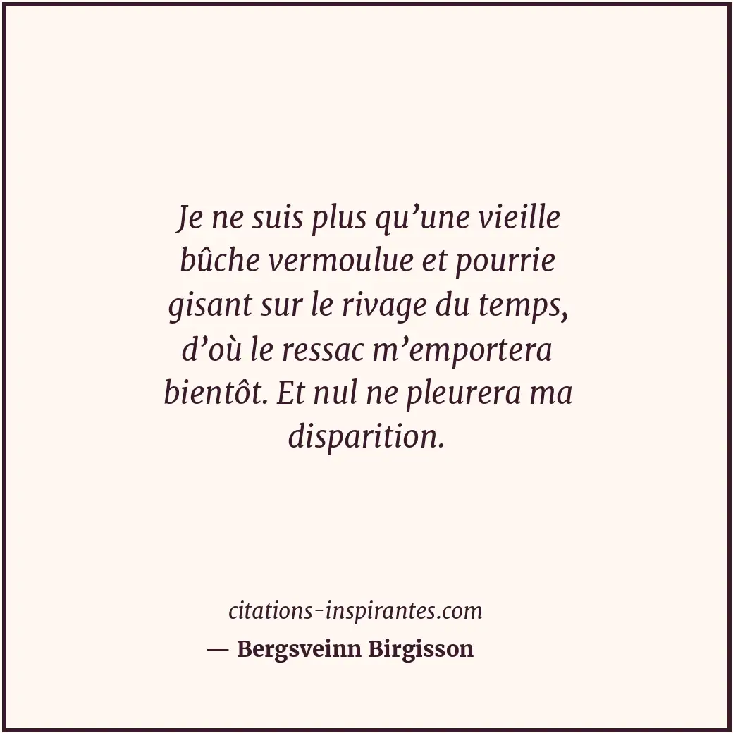 Citation de Bergsveinn Birgisson