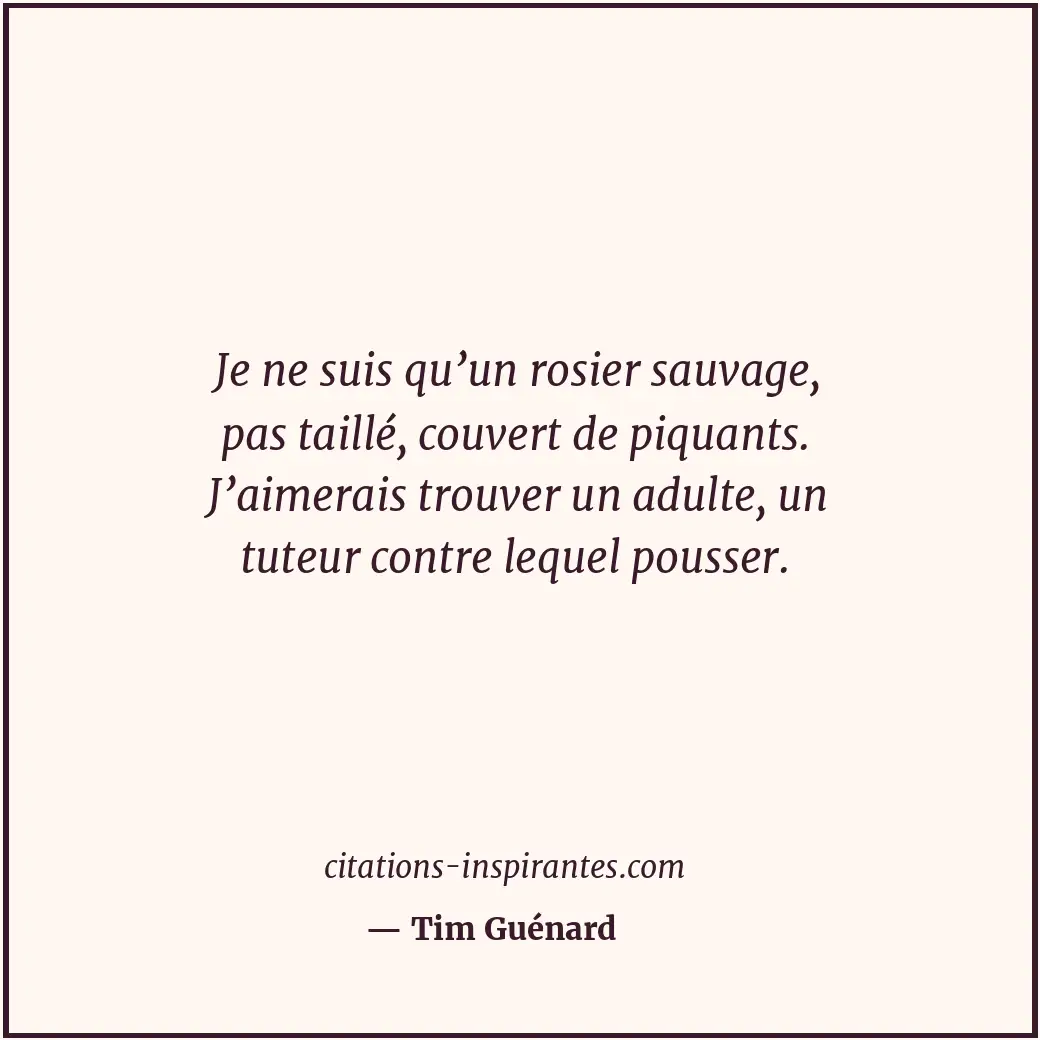 Je ne suis qu’un rosier sauvage, pas taillé, couvert de piquants. J’aimerais tro... Citation de Tim Guénard