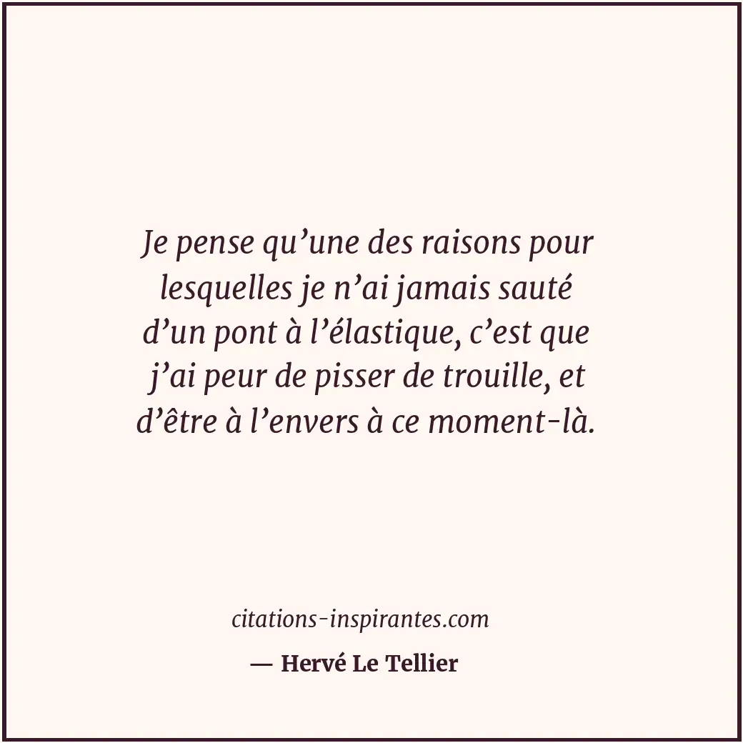Citation de Hervé Le Tellier