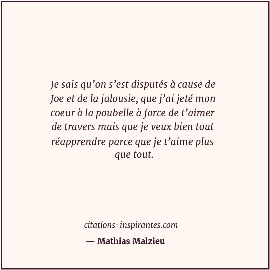 Citation de Mathias Malzieu