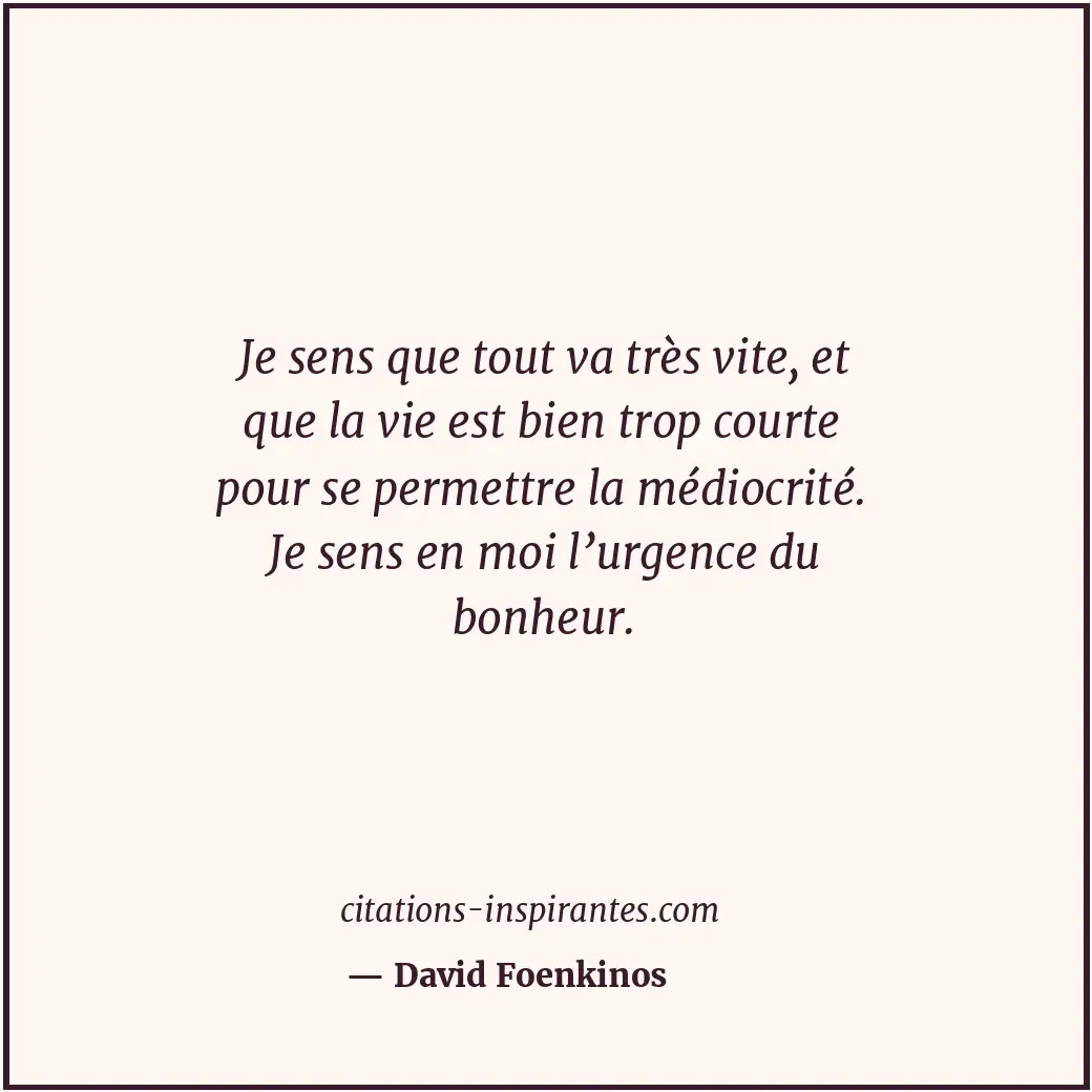 Citation de David Foenkinos