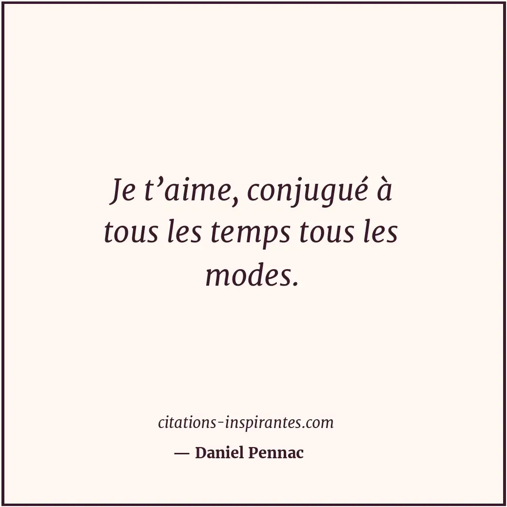 Je t’aime, conjugué à tous les temps tous les modes. Citation de Daniel Pennac
