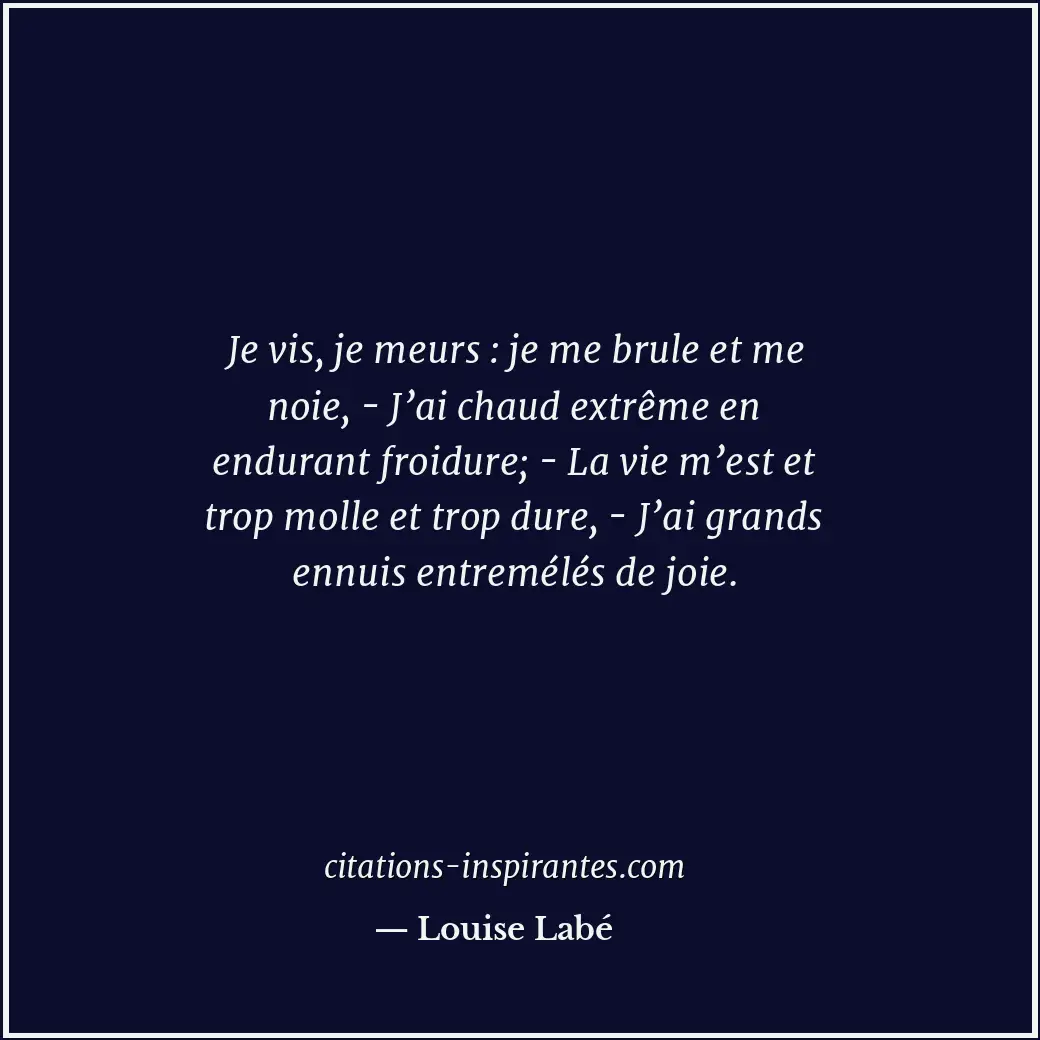 Citation de Louise Labé
