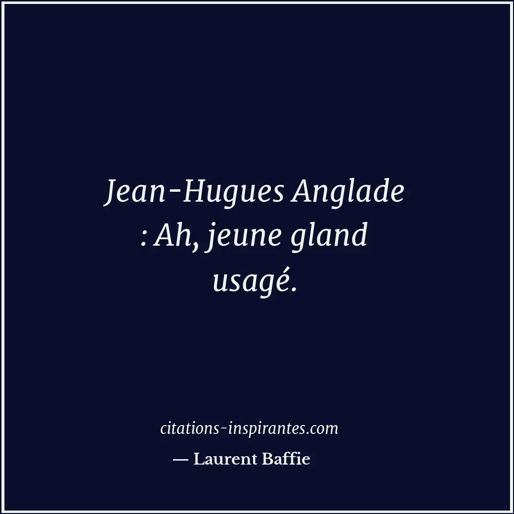 Citation de Laurent Baffie