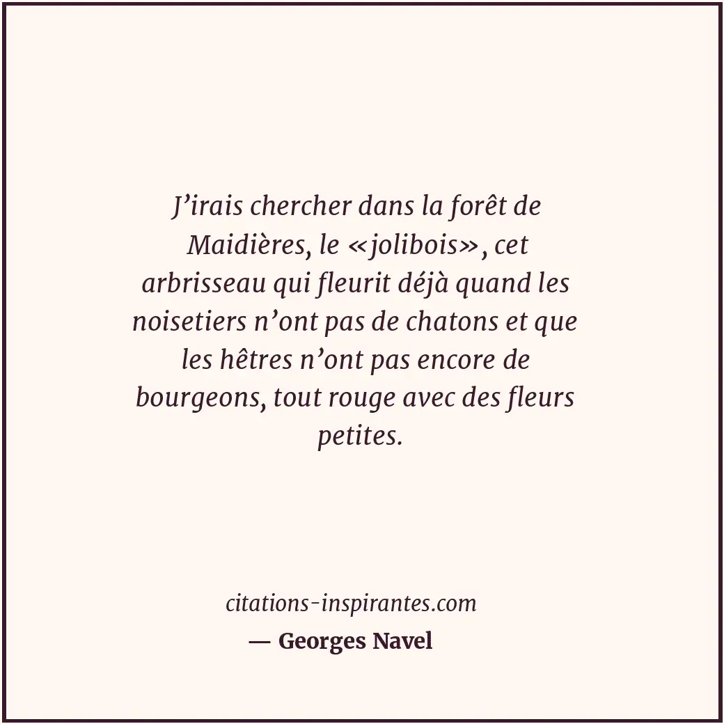 J’irais chercher dans la forêt de Maidières, le «jolibois», cet arbrisseau qui f... Citation de Georges Navel