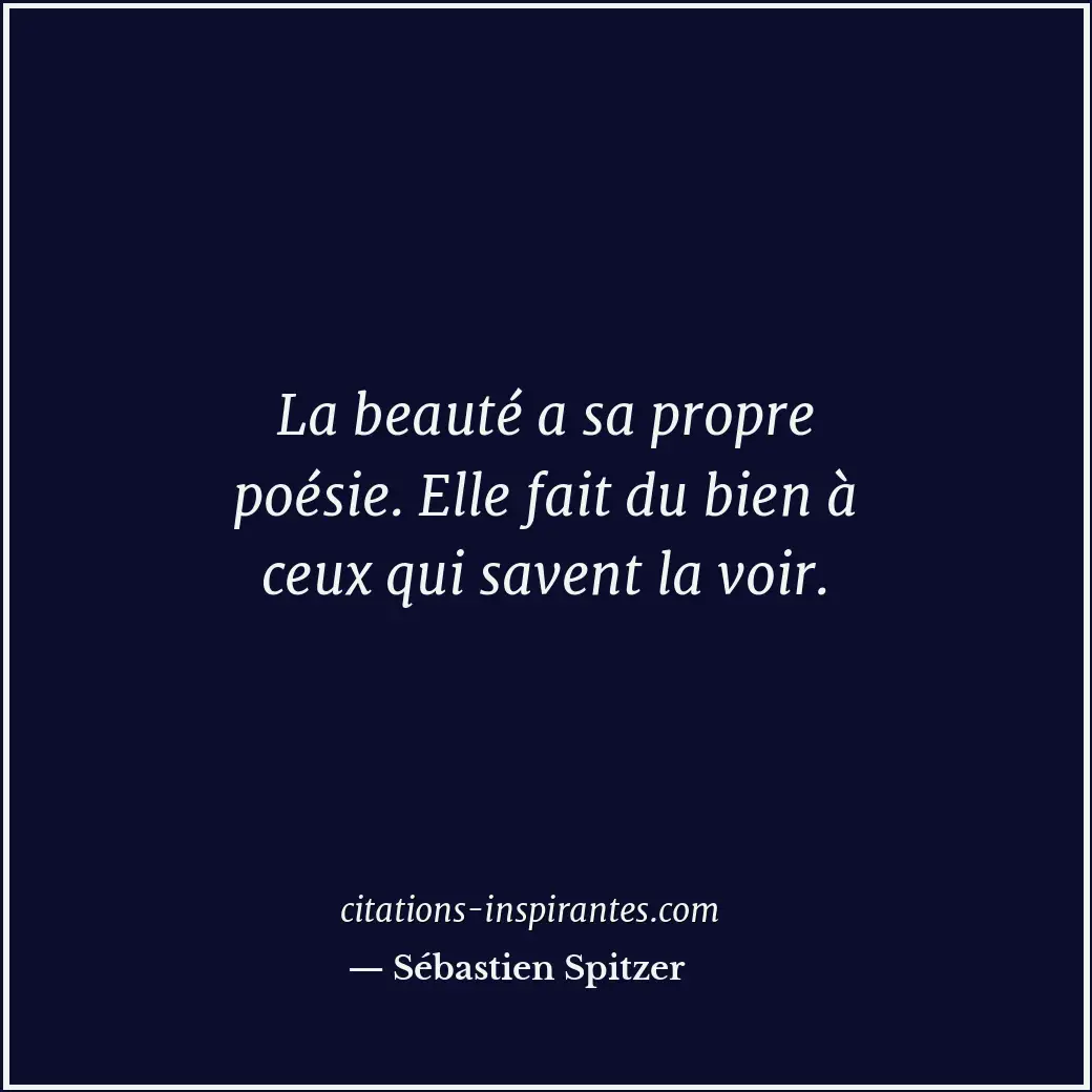 Citation de Sébastien Spitzer