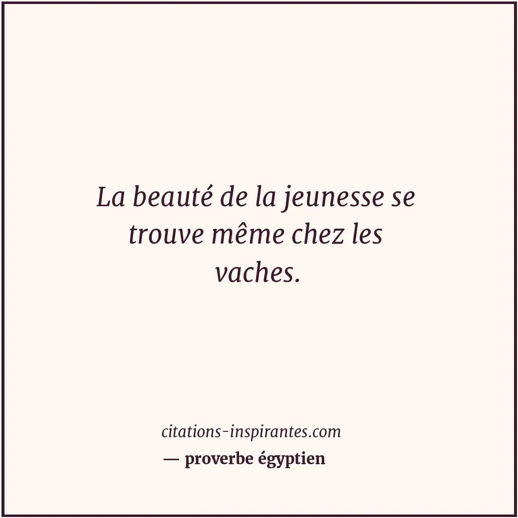 La beauté de la jeunesse se trouve même chez les vaches. Citation de proverbe égyptien