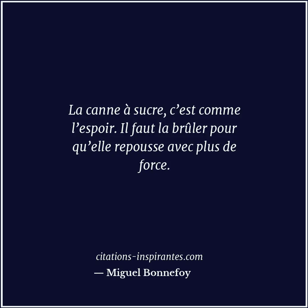 La canne à sucre, c’est comme l’espoir. Il faut la brûler pour qu’elle repousse... Citation de Miguel Bonnefoy