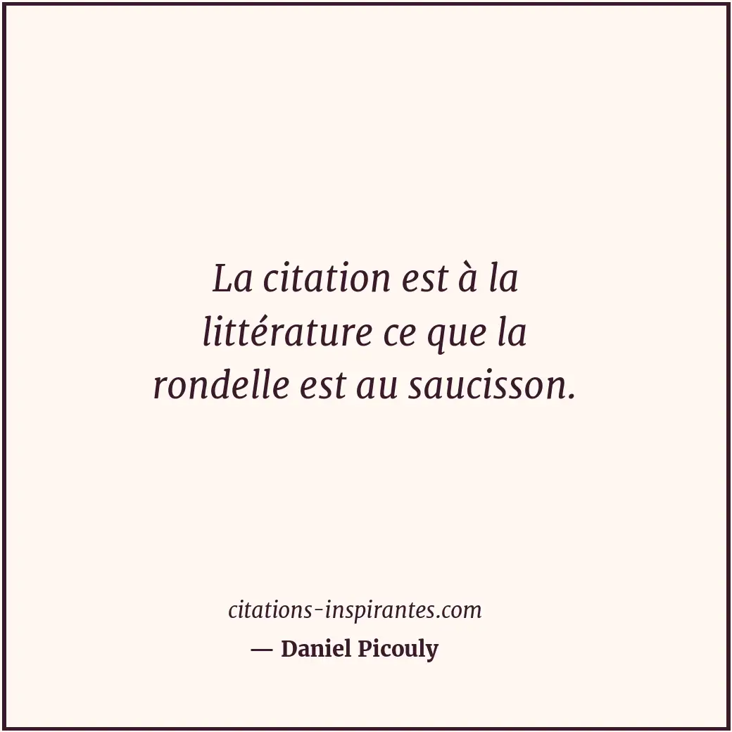 Citation de Daniel Picouly