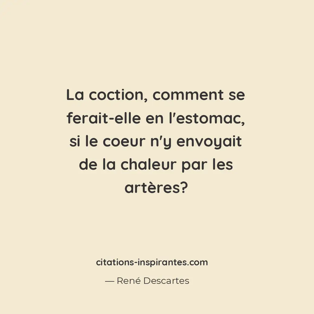 La coction, comment se ferait-elle en l’estomac, si le coeur n’y envoyait de la... Citation de René Descartes