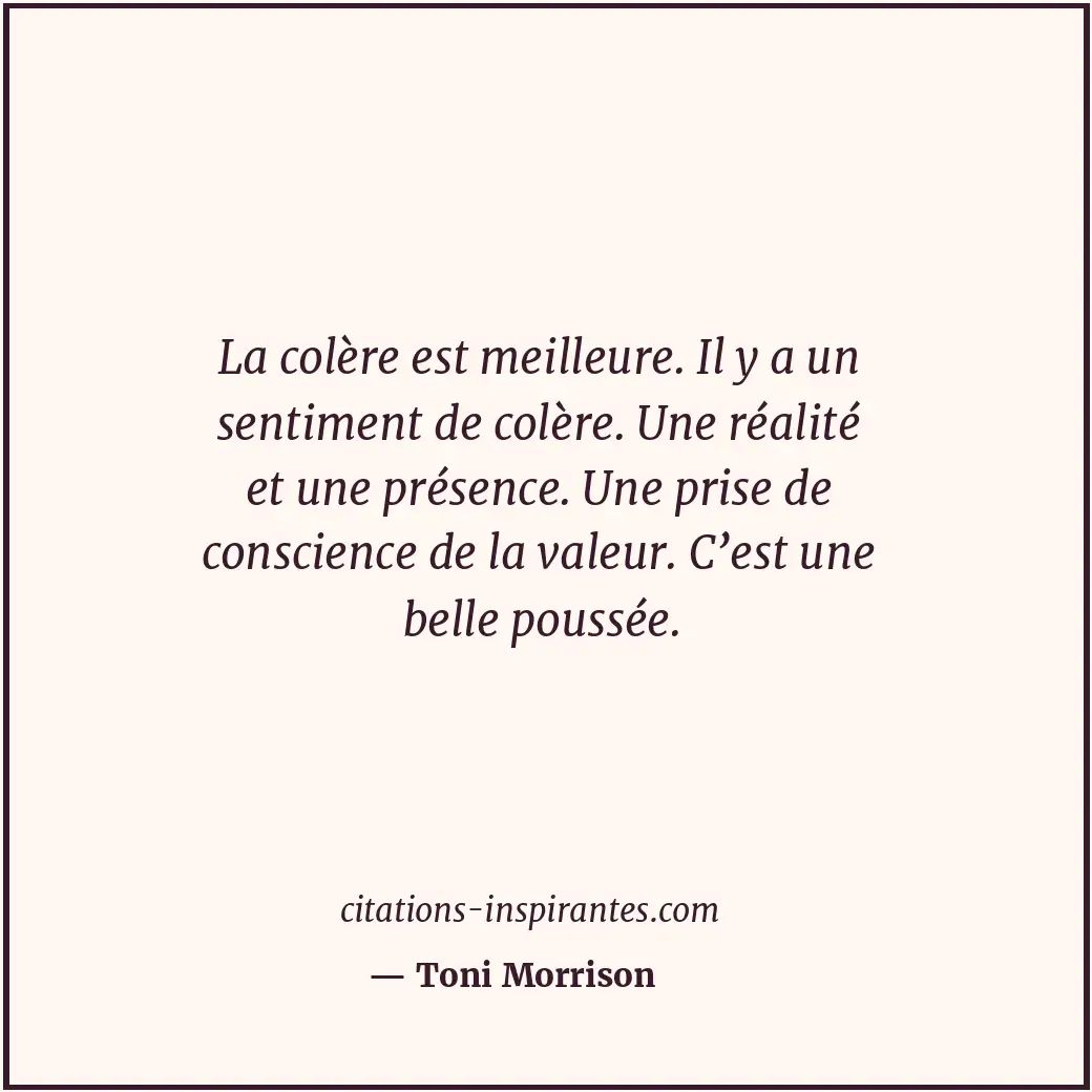 Citation de Toni Morrison
