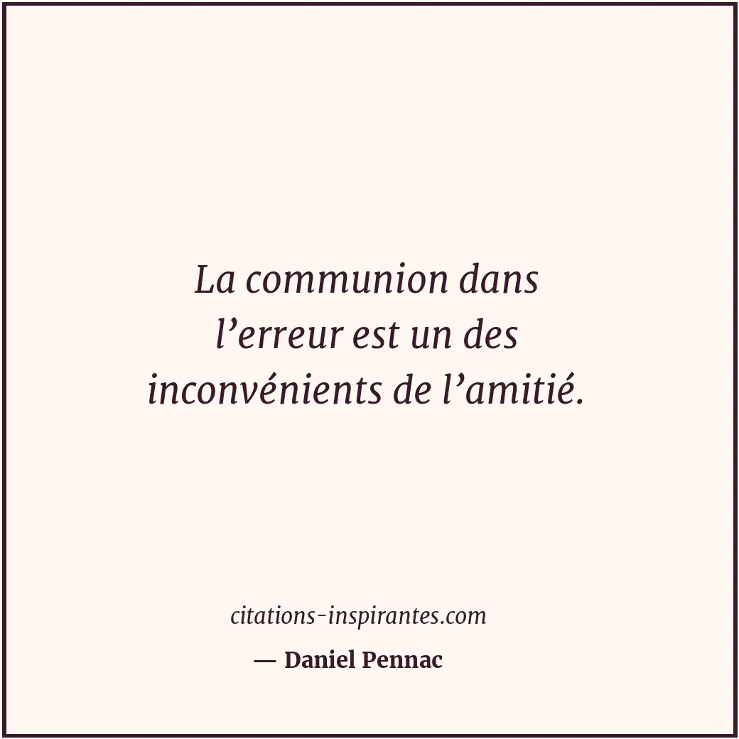Citation de Daniel Pennac