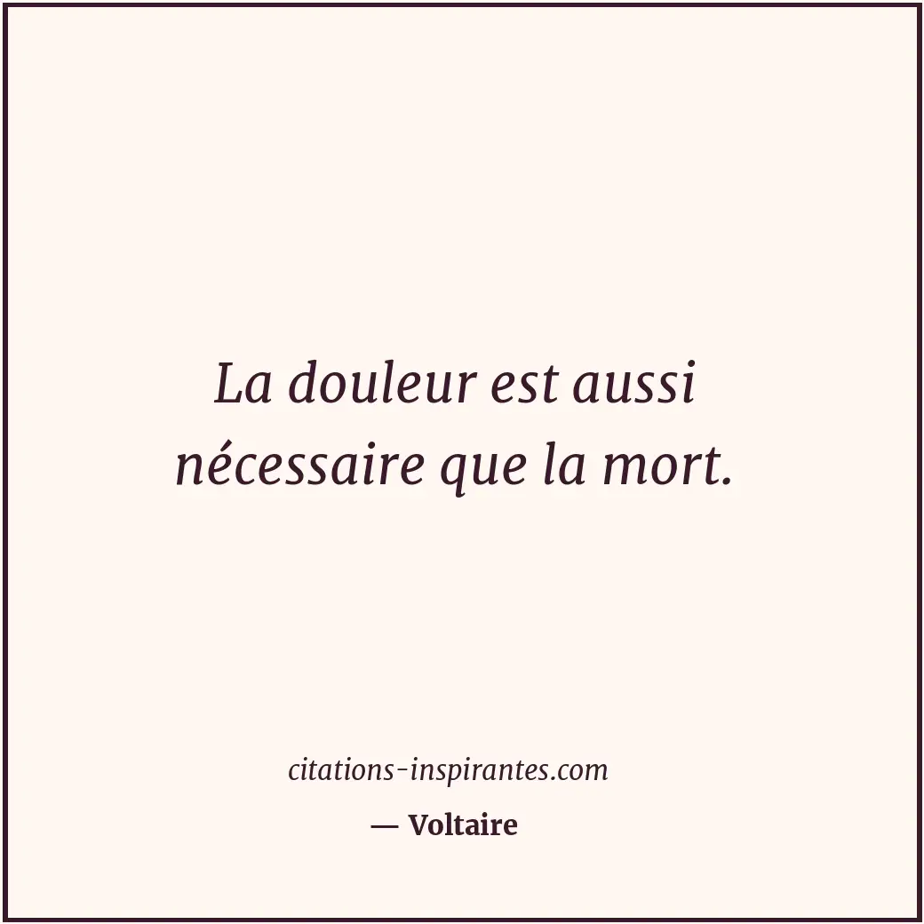 Citation de Voltaire