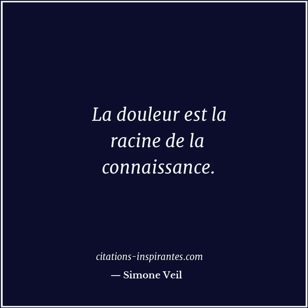 La douleur est la racine de la connaissance. Citation de Simone Veil
