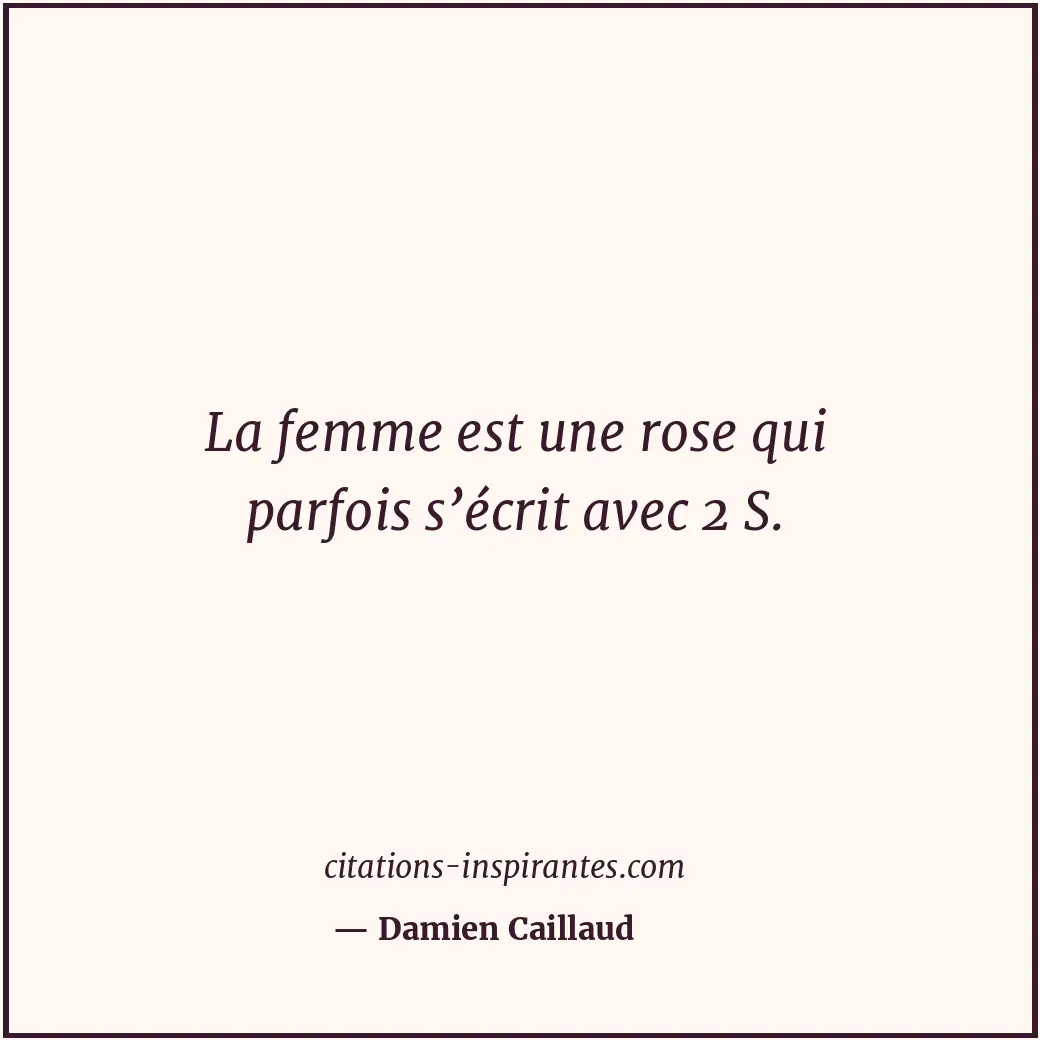 Citation de Damien Caillaud