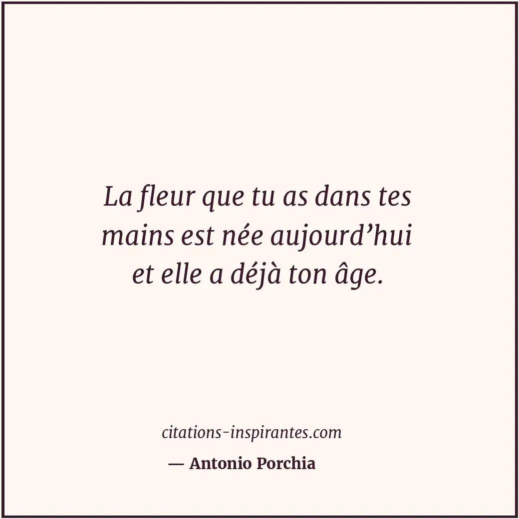 La fleur que tu as dans tes mains est née aujourd’hui et elle a déjà ton âge. Citation de Antonio Porchia