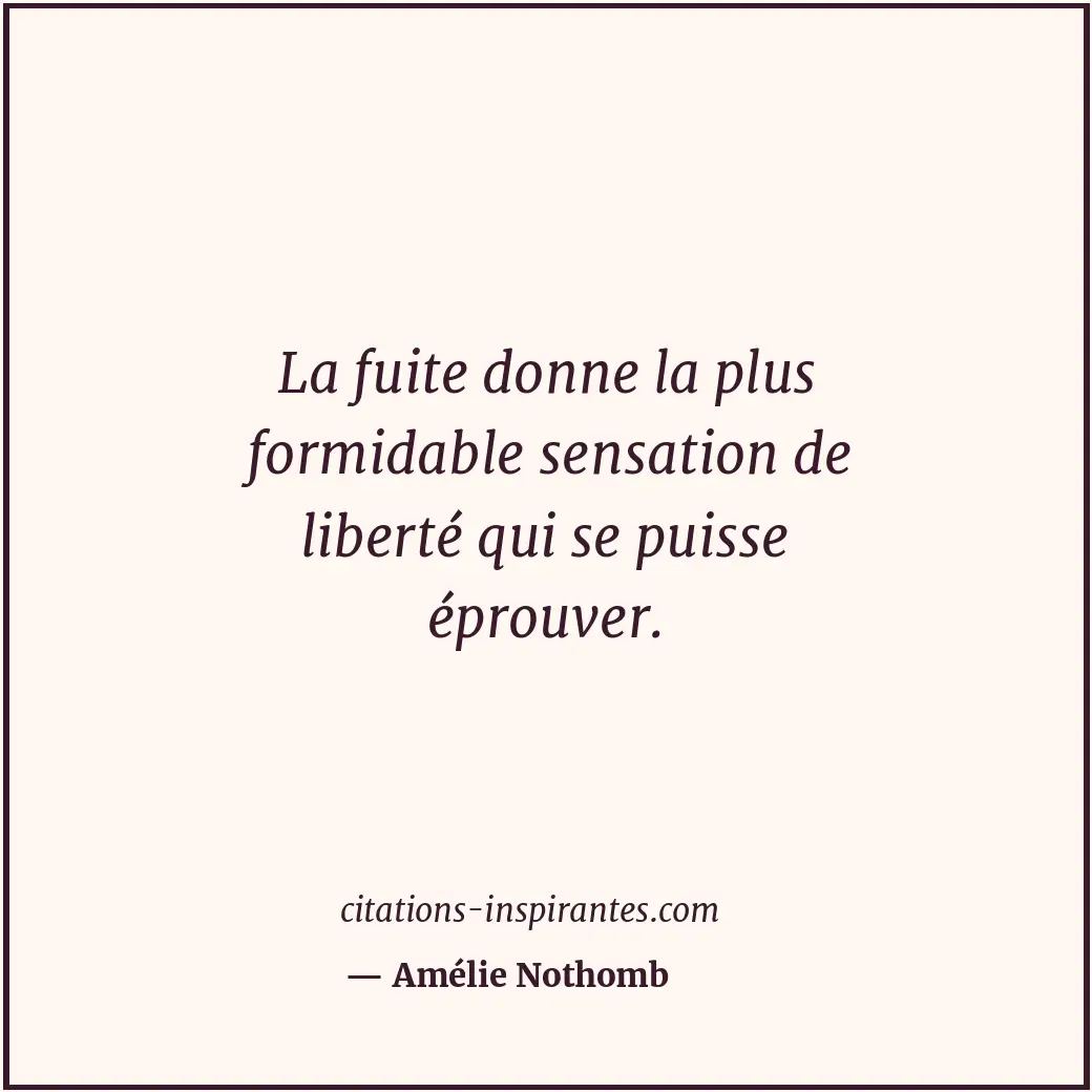 Citation de Amélie Nothomb