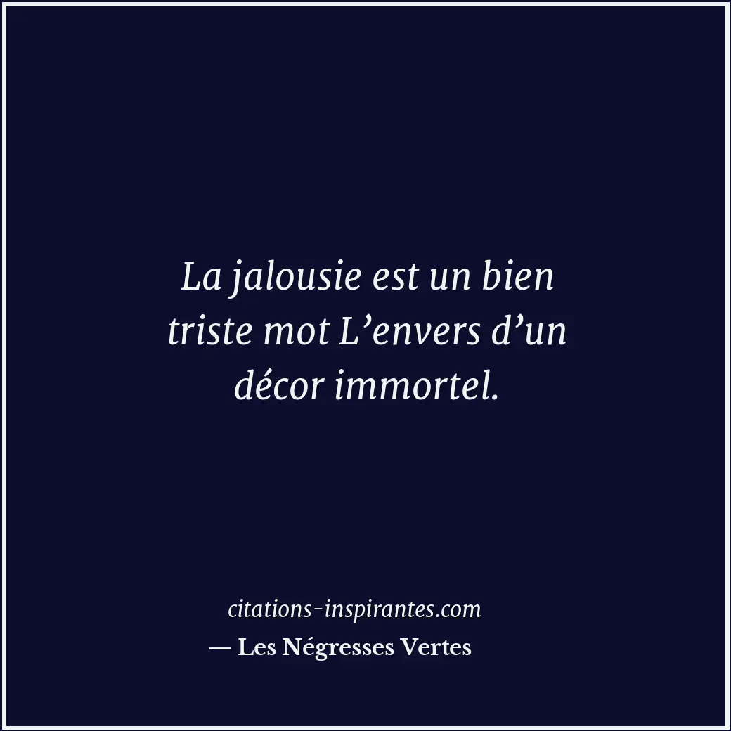La jalousie est un bien triste mot L’envers d’un décor immortel. Citation de Les Négresses Vertes