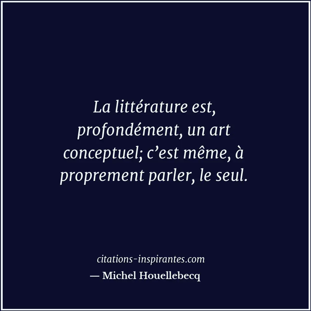 Citation de Michel Houellebecq
