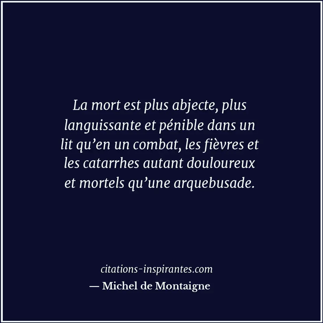 Citation de Michel de Montaigne