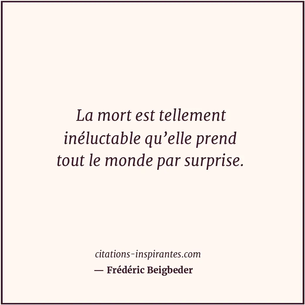 Citation de Frédéric Beigbeder